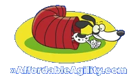 affordableagility.com